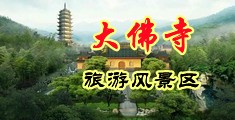 强暴秒操逼免费视频网站中国浙江-新昌大佛寺旅游风景区